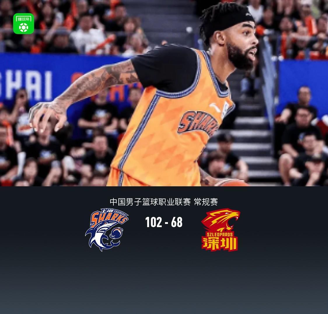 专业CA88服务